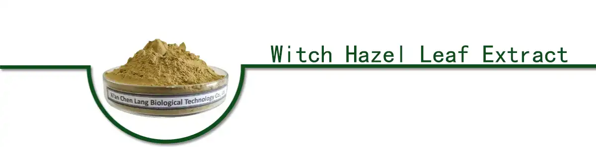 Witch Hazel Leaf Extract powder.jpg